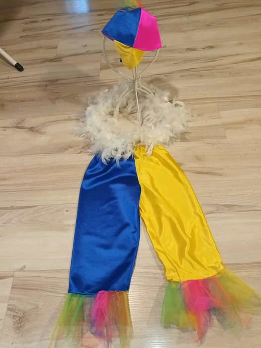 papuga - czapeczka, spodenki, pióra