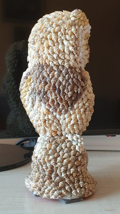 Miszelki muszle Sowa z muszelek 28cm