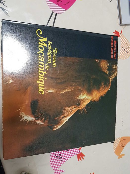 Livro antigo raro- Tesouro selvagem de Moçambique