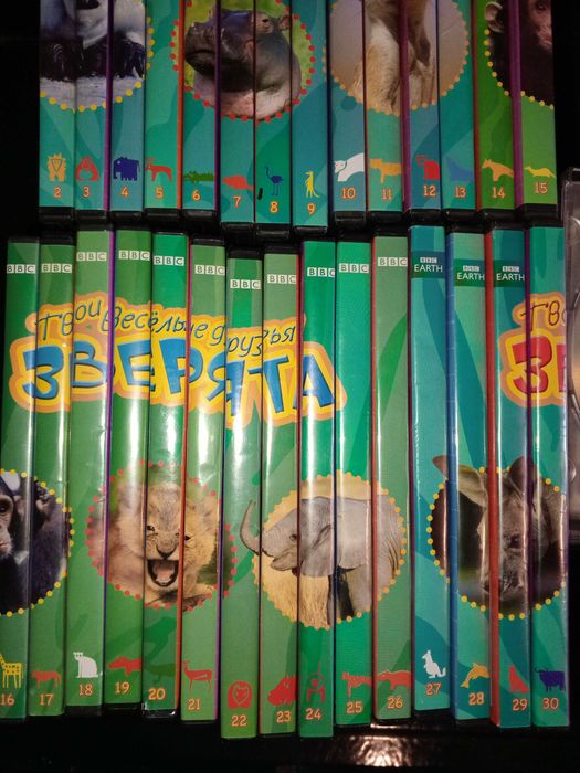 Видеопрограмма  DVD 29 шт. Твои весёлые друзья зверята, BBC Worldwide.