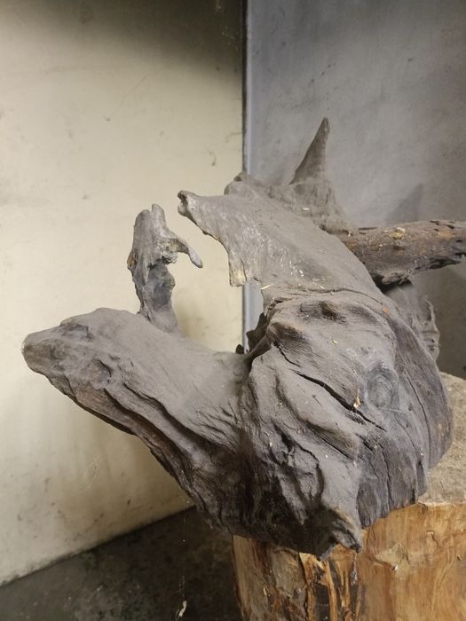 Akwarium 500 litrów