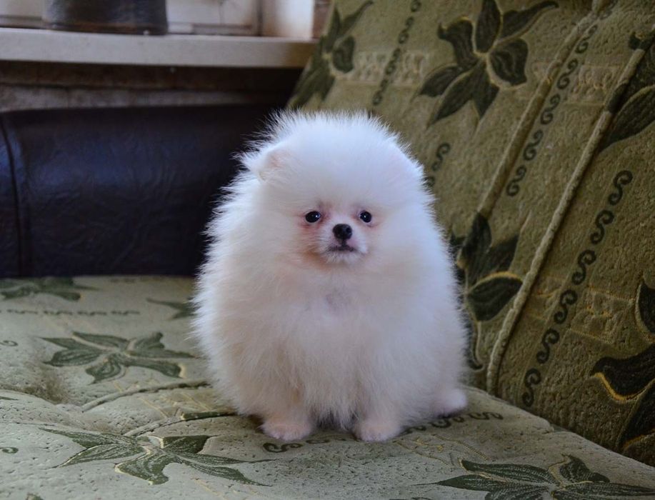 Мальчики и девочки 4,5 месяца.