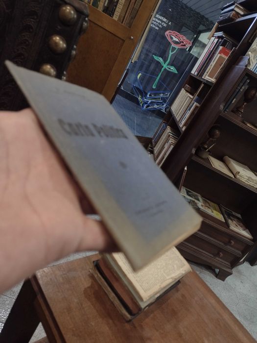 Carta Politica - B. Mendonça 1925