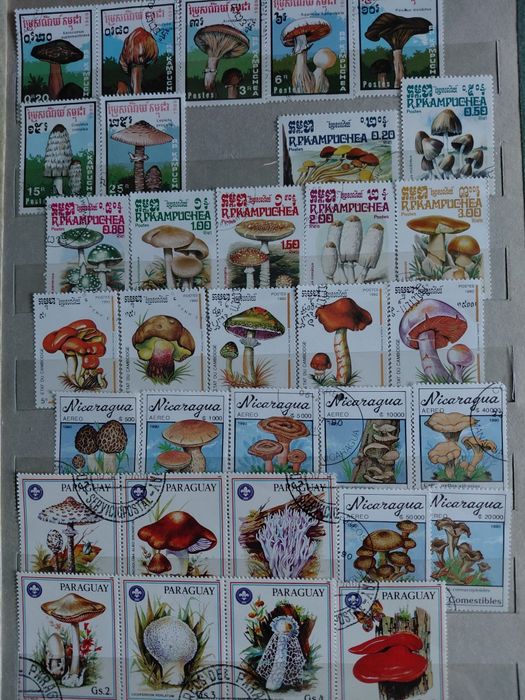 Марки поштові.Флора. Гриби.13 серій.80 марок.