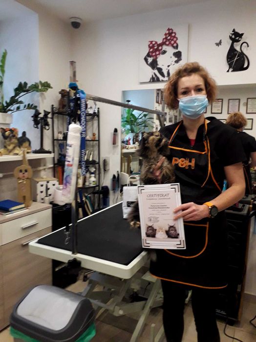 Szkolenie  i seminarium z pielęgnacji Kota