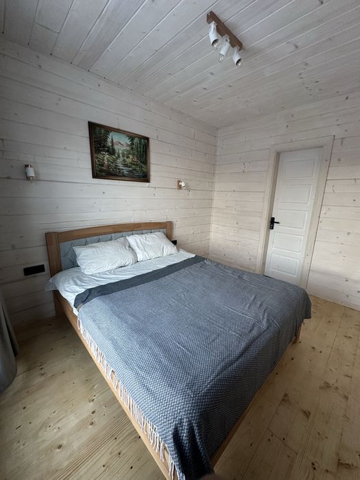 Будиночок у карпатах