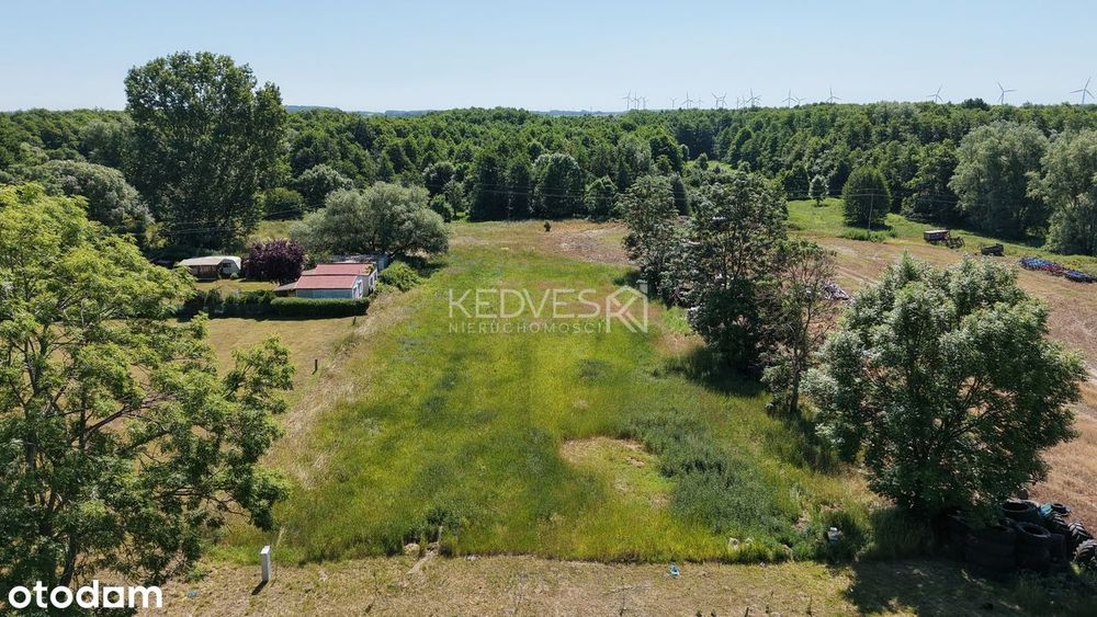 Działki pod budowę lub inwestycję | 2185 m² oraz 2765 m² | WZ | ŚLIWIN - Widok 5