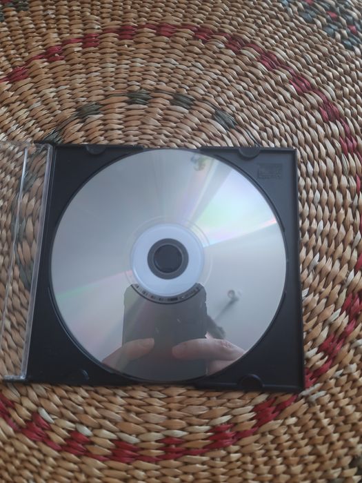 Gra komputerowa Szalone przygody Kaczora Donalda