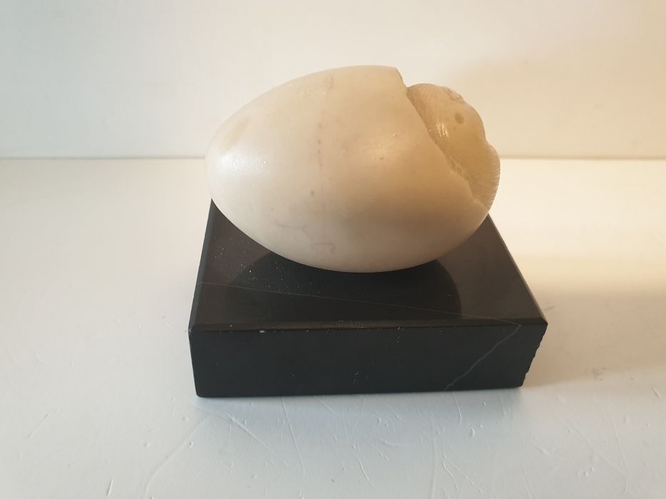 Vintage pisa papel ovo com pintinho em mármore e marfinite