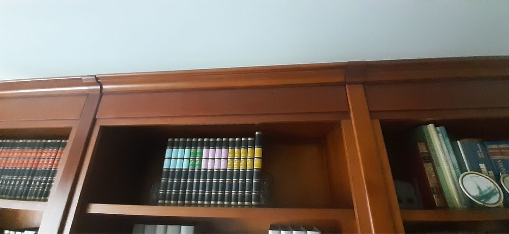 Estante escritorio / biblioteca em cerejeira