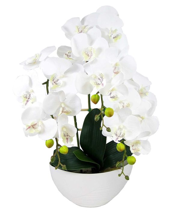 Kompozycja Trzech Białych Sztucznych Storczyków Gumowych Magnolit