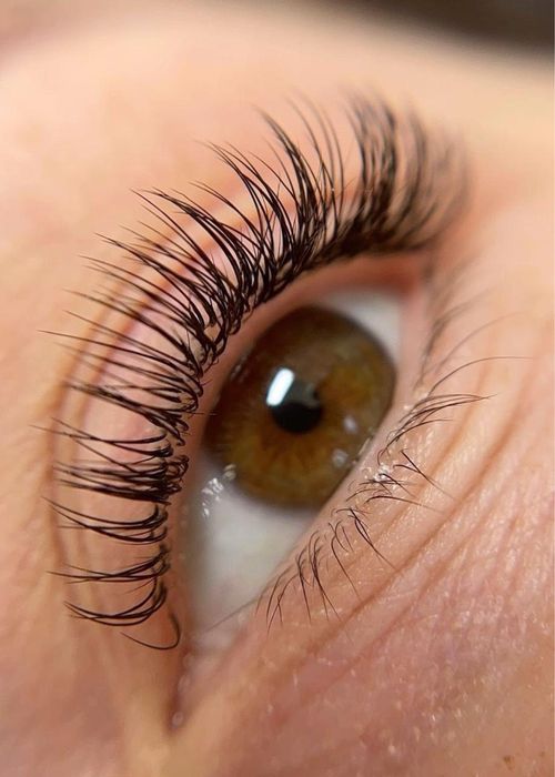 Eyebrows / Eyelashes / Eyelash Extensions / Micropigmentation