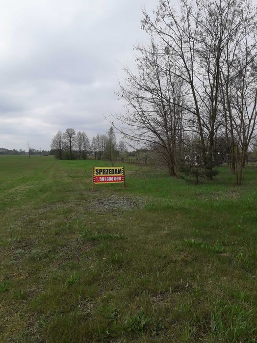 Siedlisko, dom , 2 wejścia oraz budynki gospodarcze z działką 91 arów, 68 km od Warszawy.