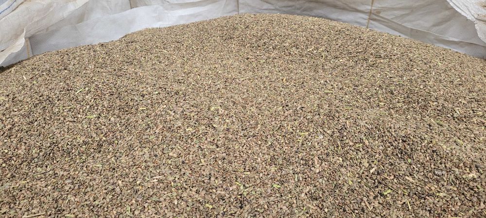 Seradela ekologiczna 25t