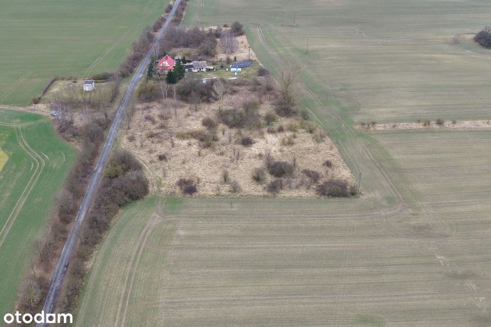 Działka inwestycyjna  9015 m² na sprzedaż