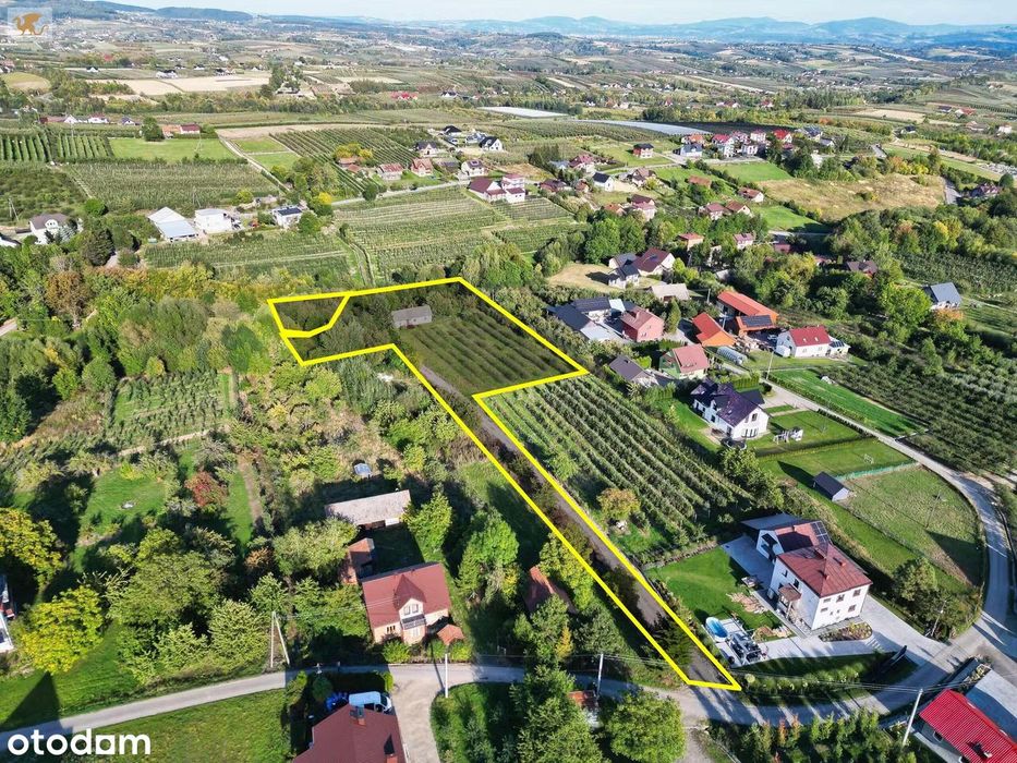 Duża działka z domem | Czarny Potok | 8700 m², sad i potok - Widok 2