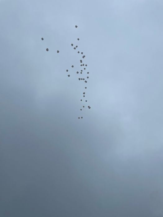 Pudło z balonami z helem, box z wylatujacymi balonami