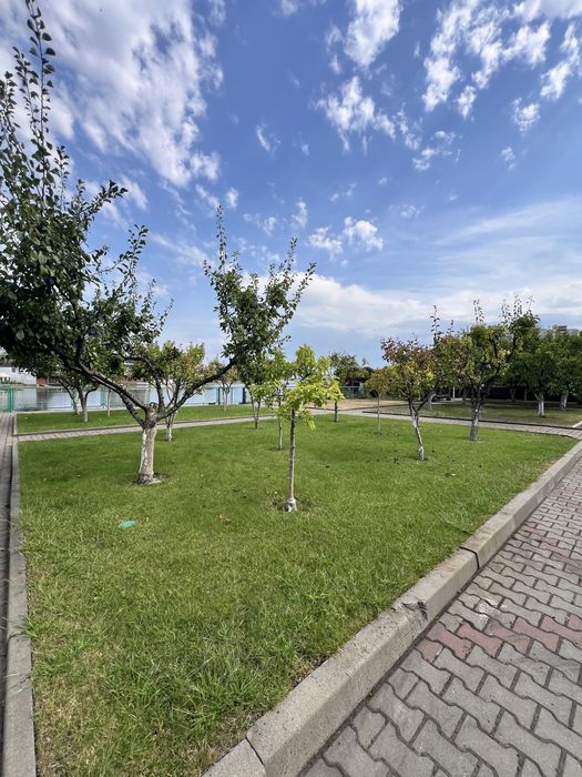 Здам будинок для сімʼї з виходом до води