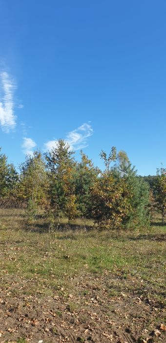 Продається земельна ділянка 12 сот біля річки в Денишах – місце, де природа надихає!