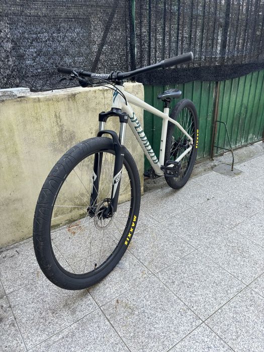 specialized rockhopper 29
