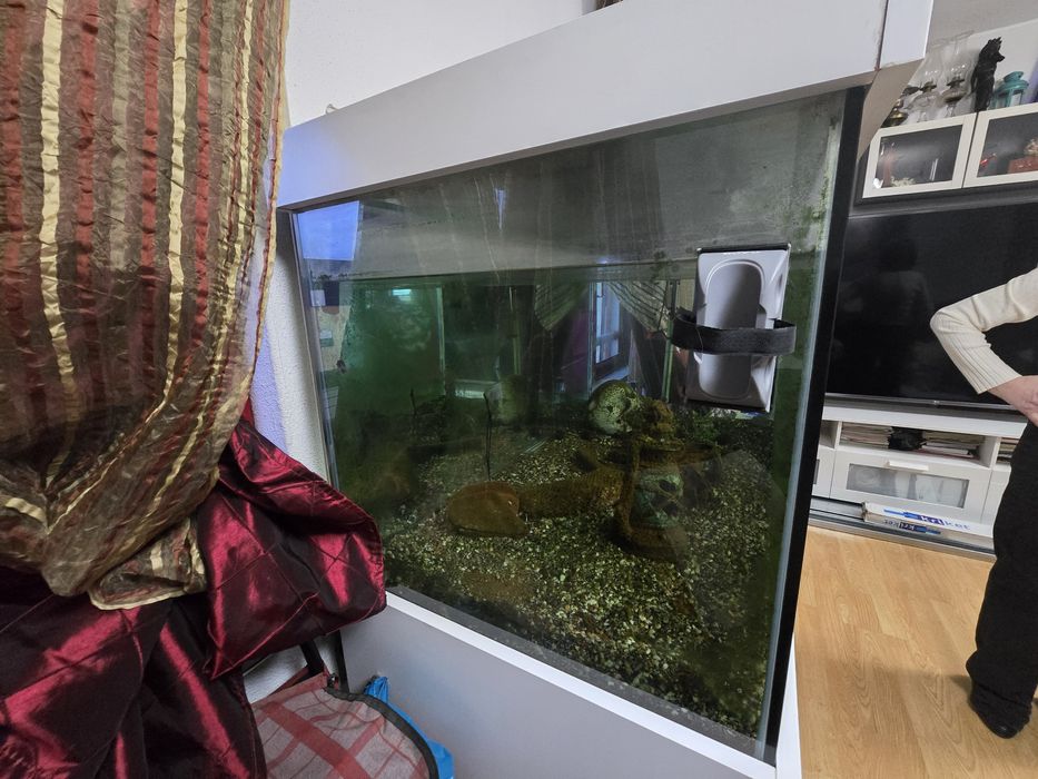 Filtro/Bomba de água, Filtro Externo Fluval FX6