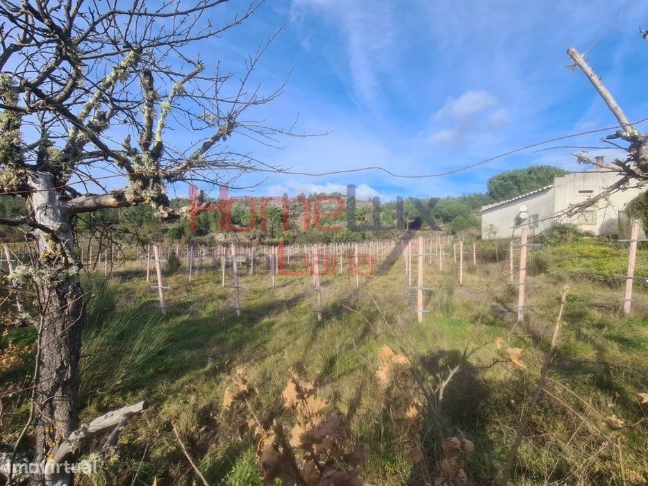 Quinta Agrícola do Dão para venda