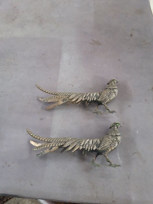 Pavoes de decoraçao