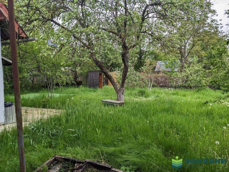 Продається ДАЧА 5.53 сот СТ "Бистриця-Надвірнянська" (5)