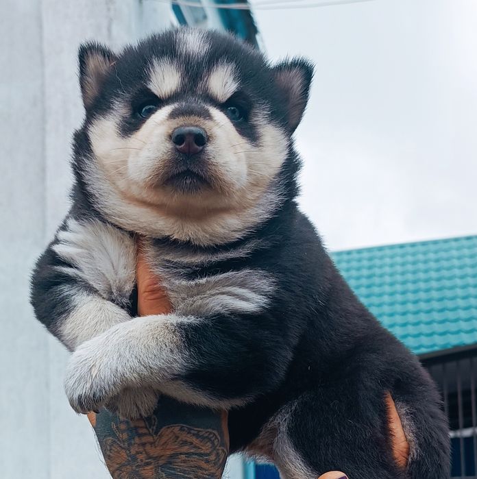 Красавчики ! Хлопчик та дівчинка