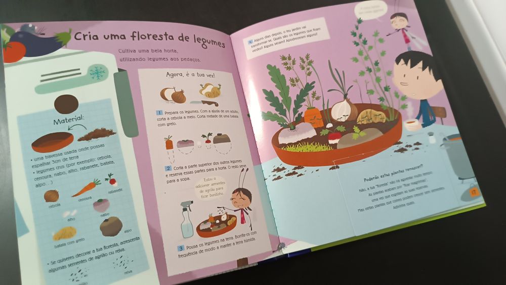 Pequenos Cientistas. Experiências com as plantas