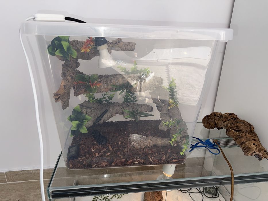 Terrarium plastikowe dla gada