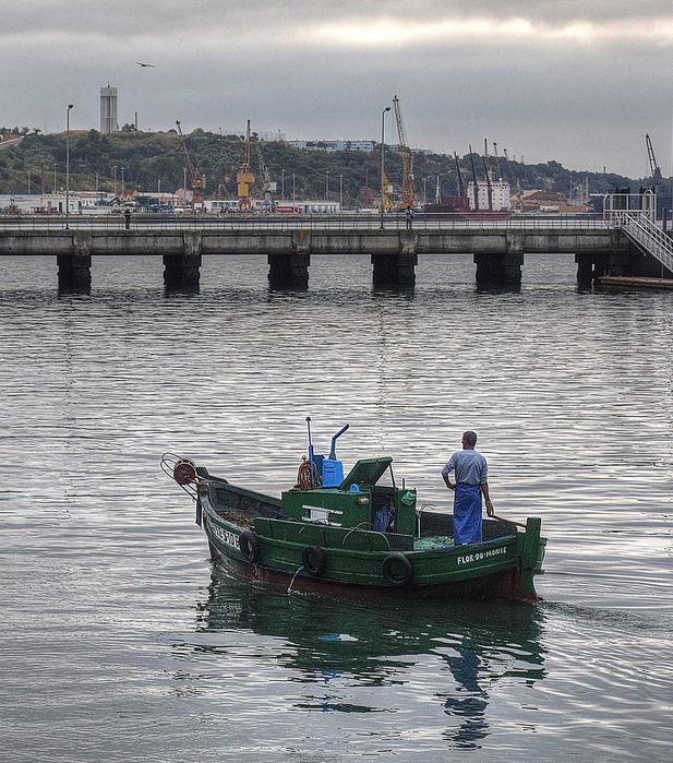 Barco pesca local