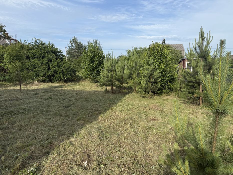 Продам будинок  біля лісу