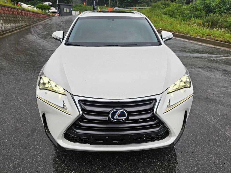 2018 Lexus NX 300h Hybrid