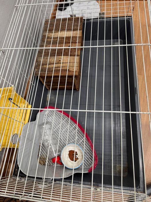 Gaiola para coelhos
