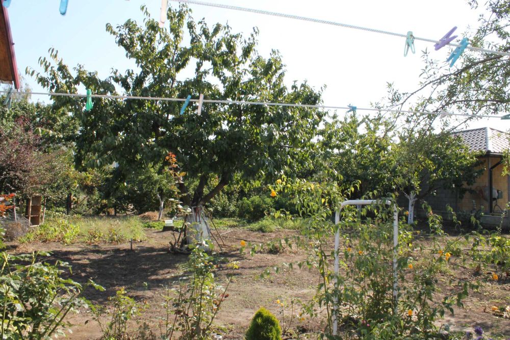 Продается дом в Фонтанке 1