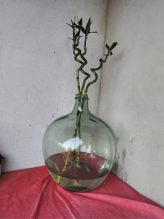 Vendo garrafao antigo de vidro