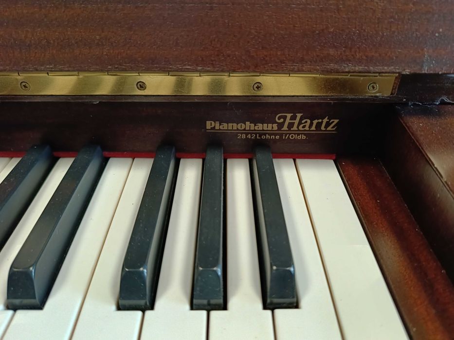 Majestatyczne Pianino Seiler