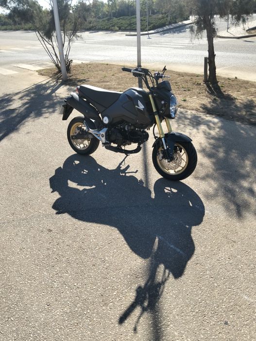Honda msx 125 grom