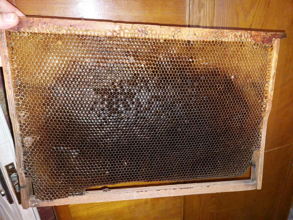 Суш, сушняк, рамки. Даданівські