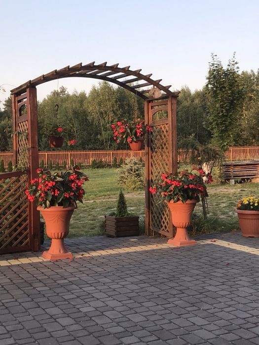 Kratka Pergola sosna