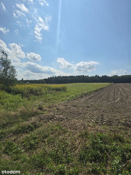 Działki Budowlane 6 Arów – Pilzno, Ul. Wiosenna