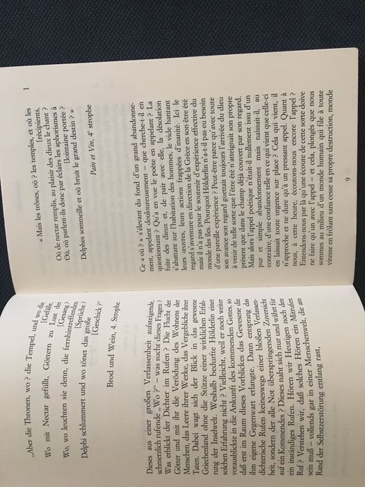 Descartes/ Diderot / Nietzsche/ Heidegger/ Raoul Vaneigem