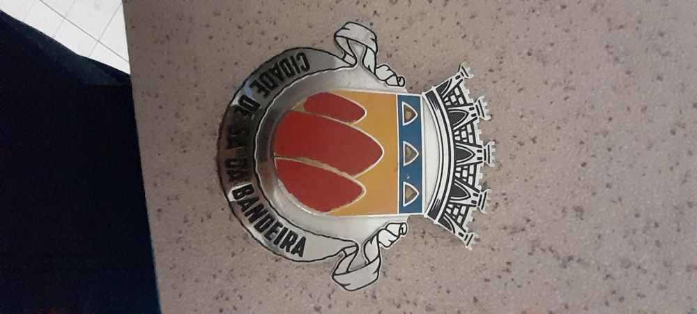 Chapa de grelha de automóvel