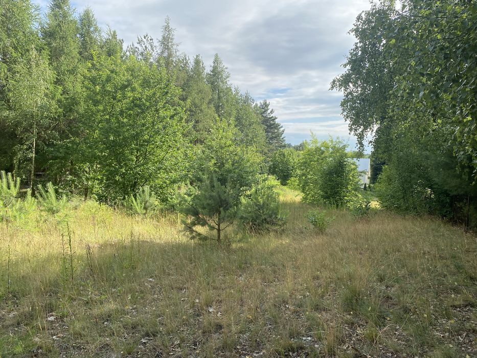 Duża działka 1373 m² blisko jeziora – Piotrowo, gm. Chodecz - Widok 4