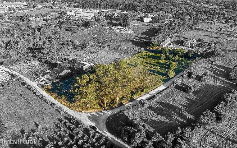 Terreno  para venda — Pontével, Santarém