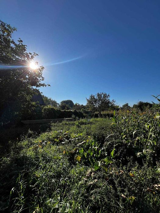 Будинок в Старому Білоусі. Є- відновлення