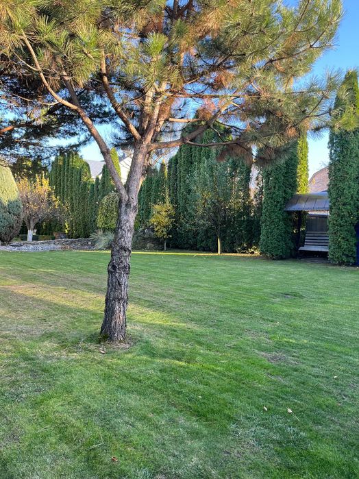 Дом по адресу (площадь 340 м²) - Atlanta.ua - фото 3