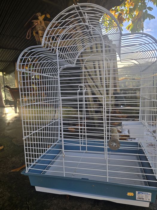 Gaiola papagaio ou caturras