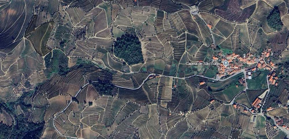 Vende-se terreno agrícola com vinha e benefício no Douro